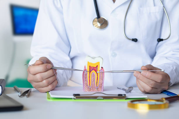 Best After-Hours Dental Trauma Care in Glenwood, AR